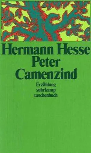 Couverture de Peter Camenzind