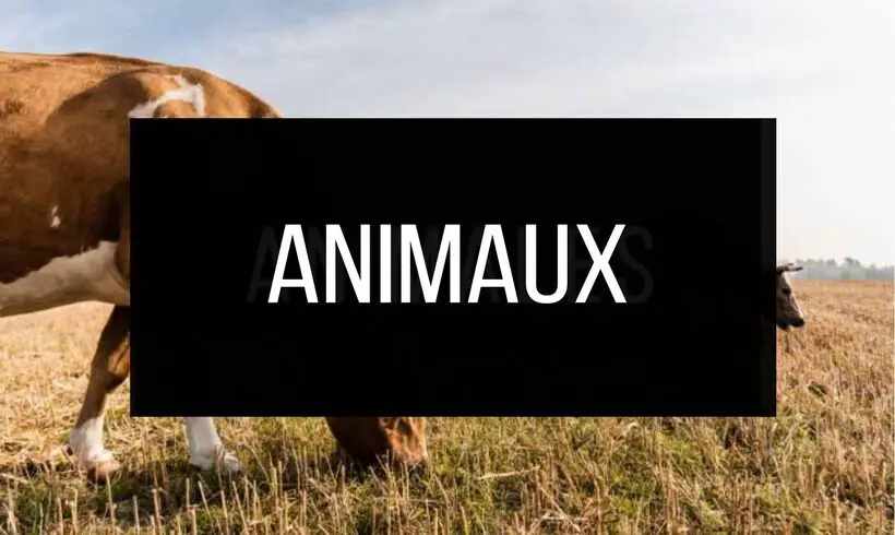 +50 Livres d'Animaux Gratuits !
