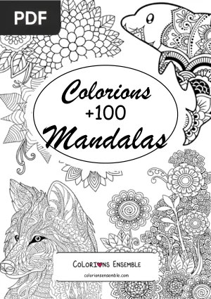 +100 Mandalas à colorier