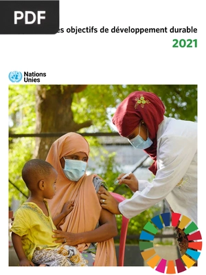 Rapport sur les objectifs de développement durable