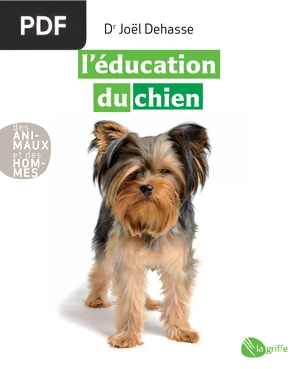 L’éducation du chien