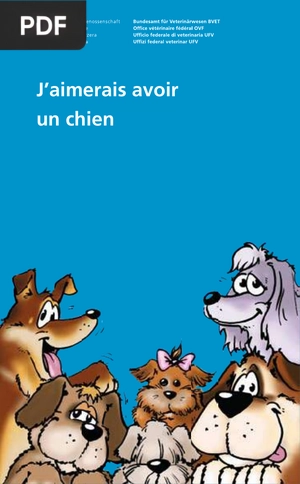J’aimerais avoir un chien