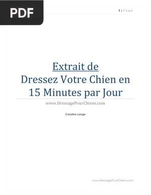Dressez Votre Chien en 15 Minutes par Jour