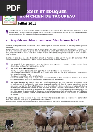 Choisir et eduquer son chien de troupeau