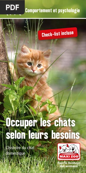 Occuper les chats selon leurs besoins