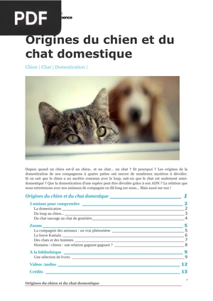 Origines du chien et du chat domestique