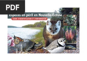 Espèces en péril en Nouvelle-Écosse