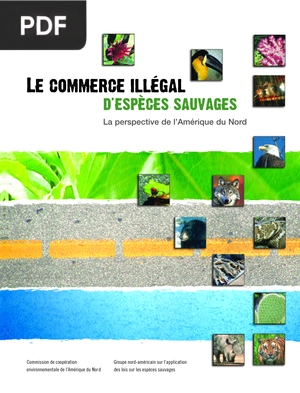 Le commerce illégal d'espèces sauvages
