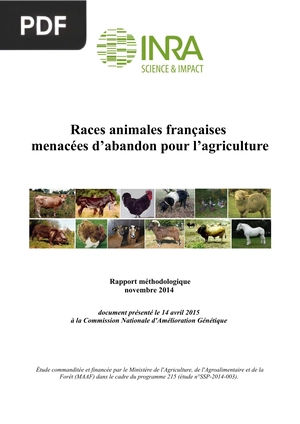 Races animales françaises menacées d’abandon pour l’agriculture