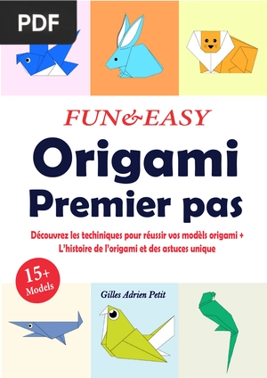 Origami Premier Pas