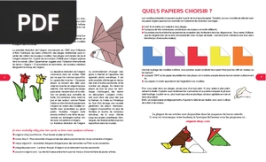 Histoire de l'origami