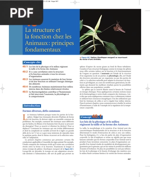 La structure et la fonction chez les Animaux: principes fondamentaux