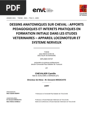 Dessins anatomiques sur cheval : apports pedagogiques et intérêts pratiques en formation initiale dans les etudes veterinaires – appareil locomoteur et système nerveux