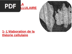 La théorie cellulaire