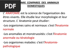 Anatomie comparée des animaux domestiques