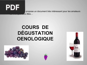 Cours de dégustation oenologique