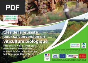 Clés de la réussite pour sa conversion en viticulture biologique