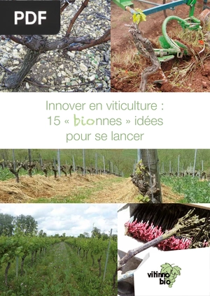 Innover en viticulture: 15 bionnes idées pour se lancer