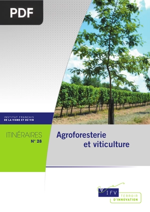 Agroforesterie et viticulture