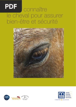Mieux connaître le cheval pour assurer bien-être et sécurité