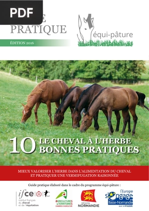 Le cheval à l’herbe. 10 bonnes pratiques