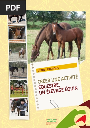 Créer une activité équestre, un élevage équin