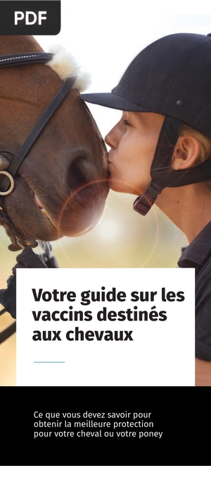 Votre guide sur les vaccins destinés aux chevaux