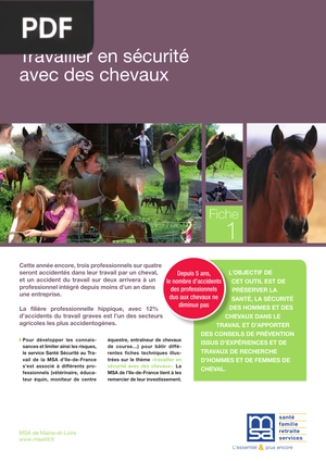Travailler en sécurité avec des chevaux