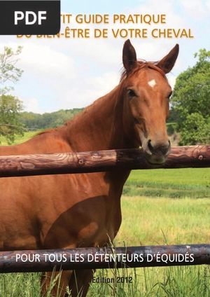 Petit guide pratique du bien-être de votre cheval