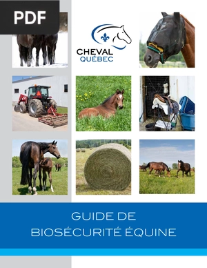 Guide de biosécurité équine