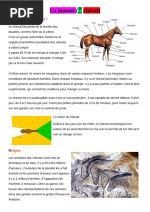 La jument (le cheval)