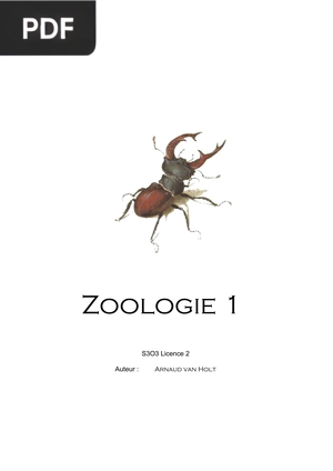 Zoologie 1