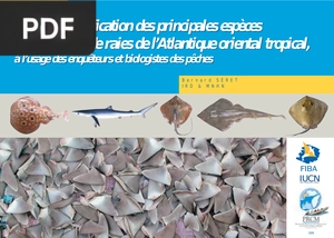Guide d’identification des principales espèces de requins et de raies de l’Atlantique oriental tropical