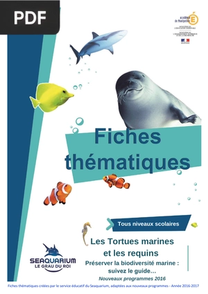 Les Tortues marines et les requins