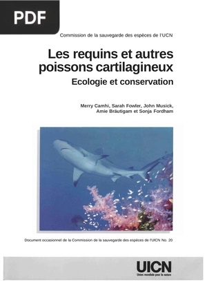 Les requins et autres poissons cartilagineux