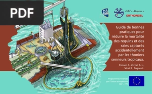 Guide de bonnes pratiques pour réduire la mortalité des requins et des raies capturés accidentellement par les thoniers senneurs tropicaux