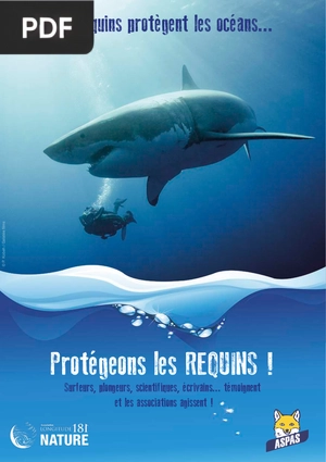 Les requins protégeant les océans