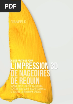 Guide pratique pour l’impression 3D de répliques de nageoires de requins