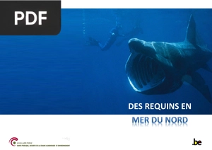 Des requins en mer du Nord