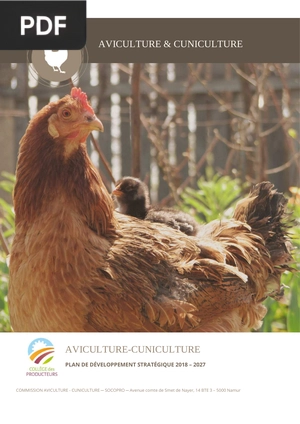 Aviculture-cuniculture