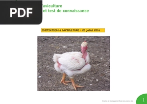 Initiation à l’aviculture