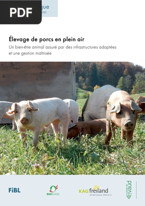 Élevage de porcs en plein air