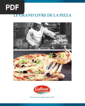 Le grand livre de la pizza