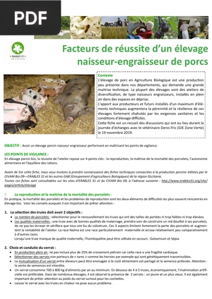 Facteurs de réussite d’un élevage naisseur-engraisseur de porcs