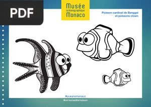 Le cahier de coloriage du Musée océanographique