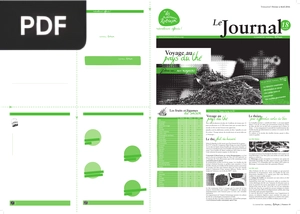 Voyage au pays du thé