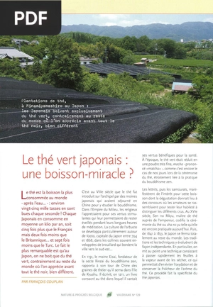 Le thé vert japonais