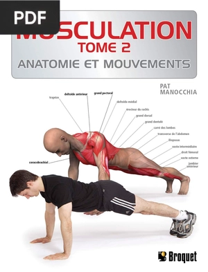 Musculation tome 2