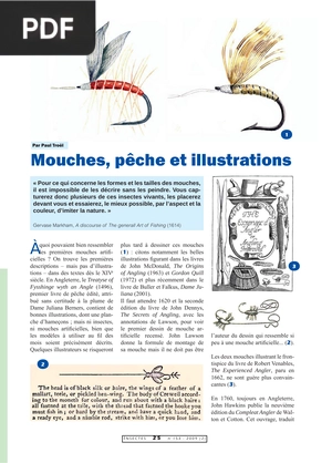 Mouches, pêche et illustrations