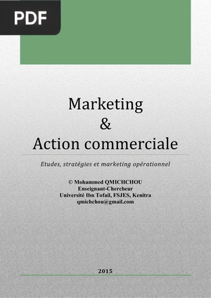 Marketing & action commerciale: études, stratégies et marketing opérationnel